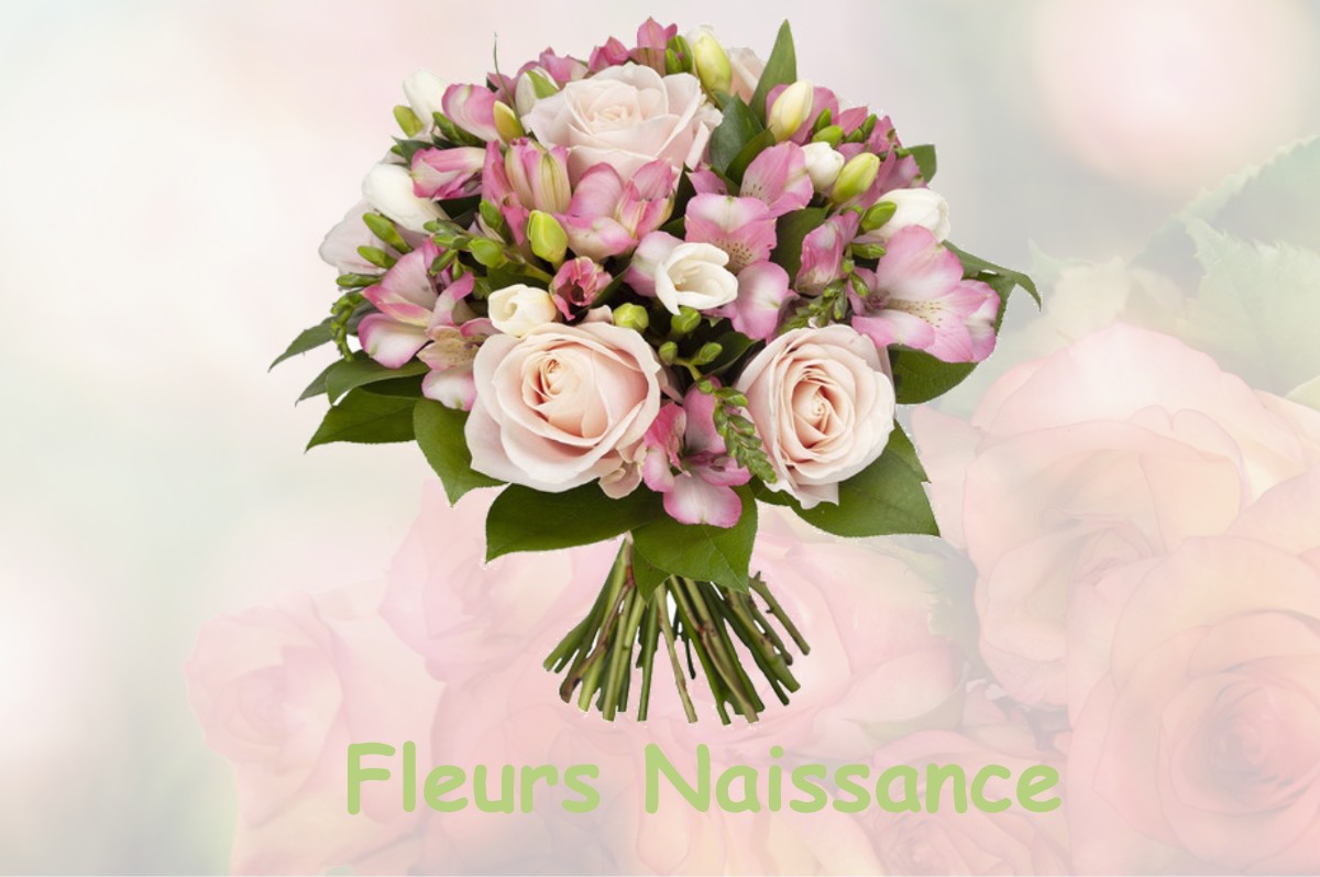 fleurs naissance SAINT-ETIENNE-DE-VALOUX